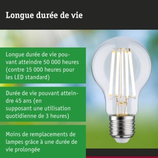 Eco-Line Filament 230V LED, Luminaire Paulmann