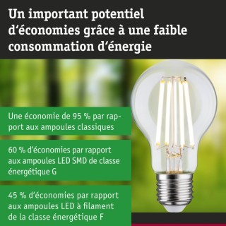 Eco-Line Filament 230V LED, Luminaire Paulmann