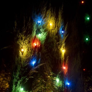 Guirlande guinguette jardin LED 8 ampoules colorées 63045 Easy Connect