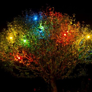Guirlande guinguette jardin LED 8 ampoules colorées 63045 Easy Connect