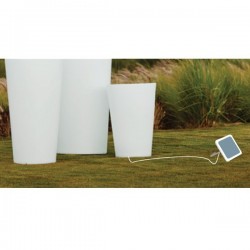 Sunlite