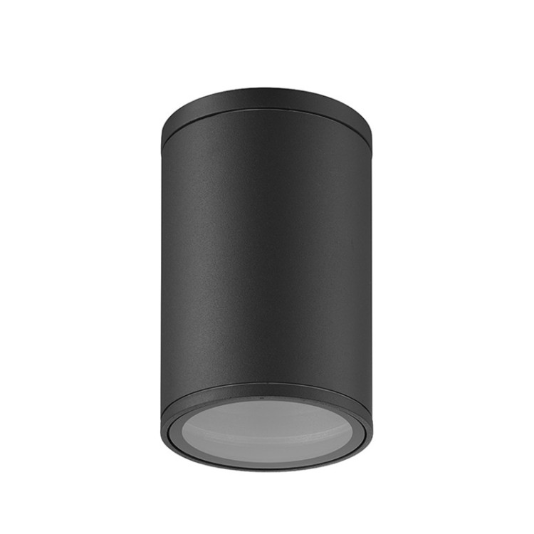 Plafonnier d'extérieur E27 1 lumière IP54 VOLCANO Gris foncé