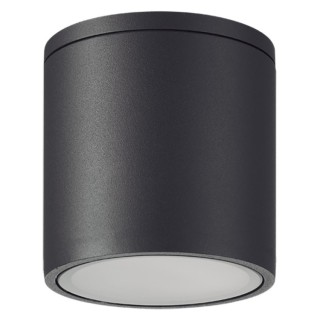 Plafonnier d'extérieur GU10 1 lumière IP54 KANDANCHU Gris foncé