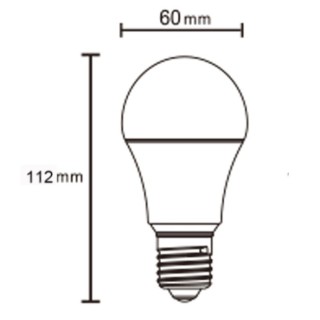 Ampoule LED E27 10W 5000K 1100lm  LED**** Blanc
