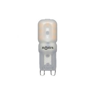 Ampoule LED G9 2,5 W 2700 K 220 lm  LED**** Blanc