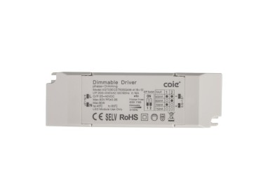 Pilote Triac gradable 20 W SUNSET Blanc