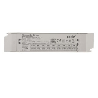 Pilote Triac gradable 40 W SUNSET Blanc