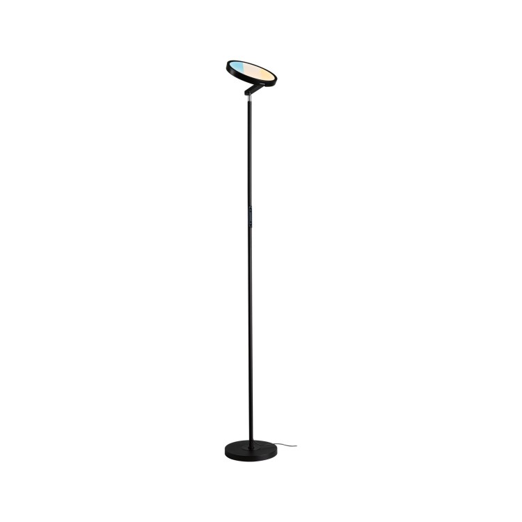 Lampadaire LED Caneta Tunable White Paulmann