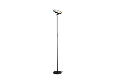 Lampadaire LED Caneta Tunable White Paulmann
