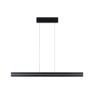 Luminaire suspension LED Raiko - Paulmann