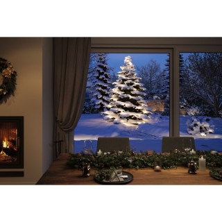 Plug & Shine Guirlande LED, luminaire, Paulmann