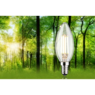 Eco-Line Bougie LED E14 840lm Paulmann