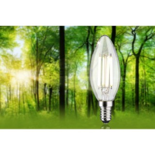 Eco-Line Bougie LED E14 4W Paulmann
