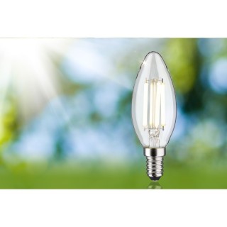 Eco-Line Bougie LED E14 4W Paulmann