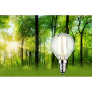 Eco-Line Filament LED E14 Sphérique Paulmann