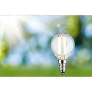 Eco-Line Filament LED E14 Sphérique Paulmann
