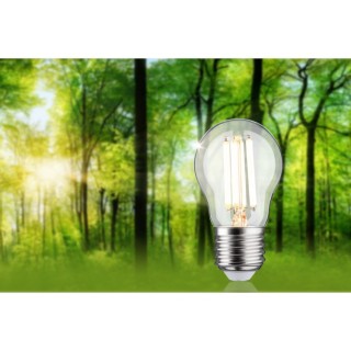Eco-Line Filament LED Sphérique Paulmann