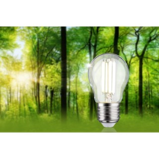 Eco-Line Filament LED Paulmann