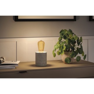 Rustic Shine Ampoules LED Filament Paulmann