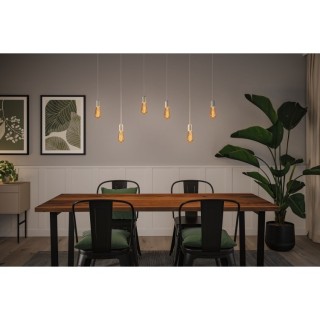 Rustic Shine Ampoules LED Filament S Paulmann