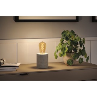 Rustic Shine Ampoules LED Filament S Paulmann