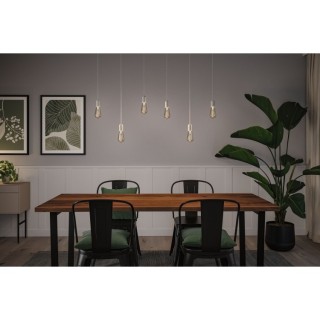 Rustic Shine Ampoule LED S Paulmann