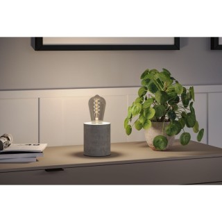 Rustic Shine Ampoule LED S Paulmann