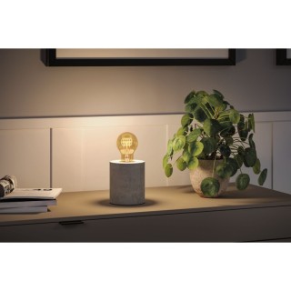 Rustic Shine Ampoule LED, Luminaire, Paulmann