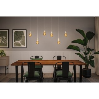 Rustic Shine Globe LED Filament I - Luminaire Paulmann