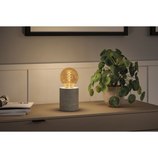 Rustic Shine Globe LED Filament Paulmann