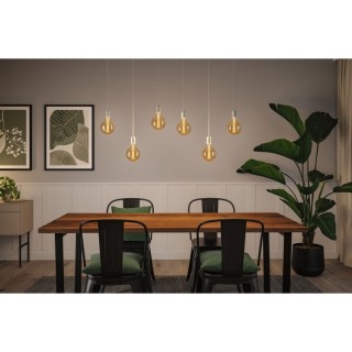 Rustic Shine LED Globe 230V Paulmann