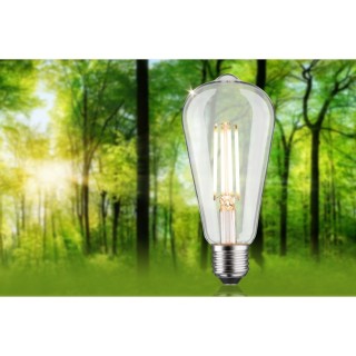 Eco-Line Filament LED Ampoule ST64 E27 Paulmann
