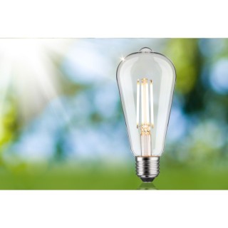 Eco-Line Filament LED Ampoule ST64 E27 Paulmann