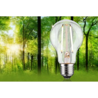 Eco-Line Filament Ampoule LED E27 Paulmann