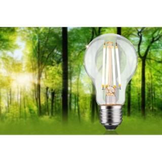 Eco-Line Filament LED E27 Paulmann