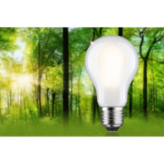 Eco-Line Filament LED E27 Luminaire Paulmann