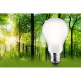 Eco-Line Ampoule LED E27 Paulmann