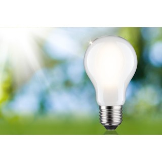 Eco-Line Ampoule LED E27 Paulmann