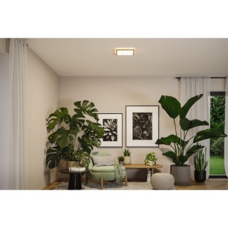 Panneau LED Atria Shine IP44 carré Paulmann