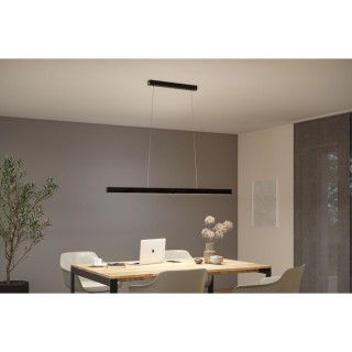 Luminaire Suspension LED Aptare Noir Paulmann