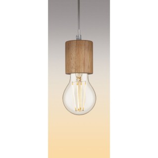 Filament 230V Ampoule LED E27 Paulmann