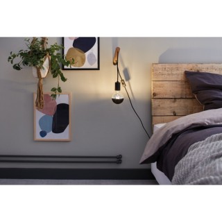 Modern Classic Globe LED E27 G95 Paulmann