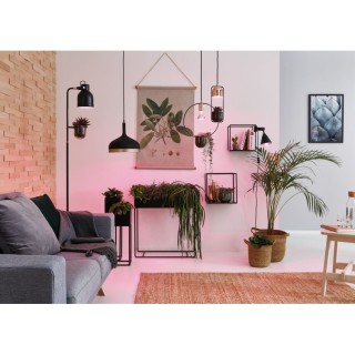 Grow Green Edition Réflecteur LED E27 Paulmann