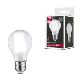 Filament 230V Ampoule LED E27 - Paulmann