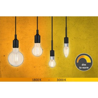 Filament 230V Globe LED G95 E27 Paulmann