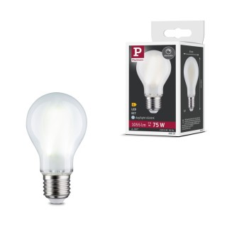 Filament 230V Ampoule LED E27 Paulmann