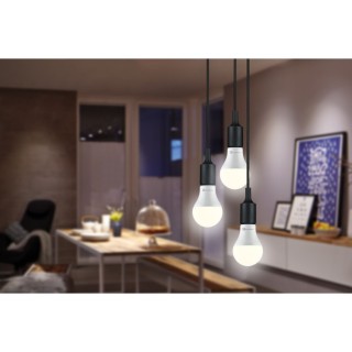 Standard 230 V Ampoule LED E27 Kit Paulmann