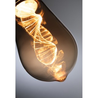 Inner Glow Ampoules LED Paulmann