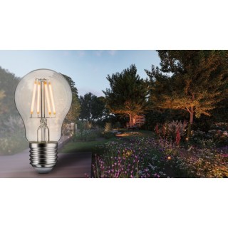 Ampoule LED E27 Anti-Insectes, Paulmann