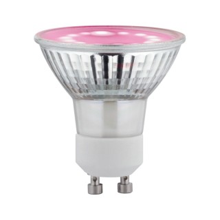 Grow Green Edition Réflecteur LED GU10 - Paulmann